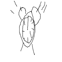 alarm clock ringing drawing by mathgazilhao in Artbitrator