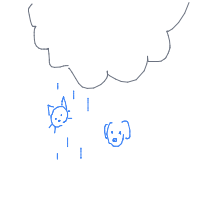 raining cats and dogs drawing by tessa9 in Artbitrator