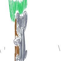 koala hugging tree drawing by findjidkn in Artbitrator