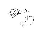 butterflies in stomach drawing by shr5uti in Artbitrator