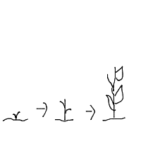 plant growing timelapse drawing by ryan in Artbitrator