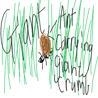 ant carrying giant crumb drawing by guest67 in Artbitrator