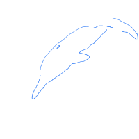 dolphin drawing by fishburst400 in Artbitrator