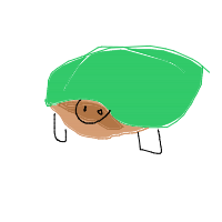 shy turtle drawing by divvyy in Artbitrator