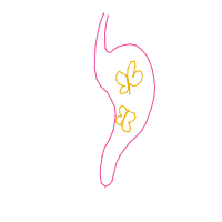 butterflies in stomach drawing by boo4u in Artbitrator