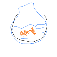 fish in bowl drawing by guest-xnncdot7j in Artbitrator