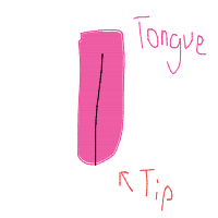 tip of tongue drawing by newotnew in Artbitrator