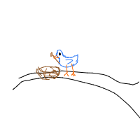bird building nest drawing by gabbyaabby in Artbitrator