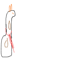 giraffe with scarf drawing by sdacaca in Artbitrator