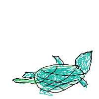 shy turtle drawing by aerialshere in Artbitrator