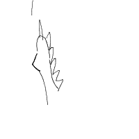unicorn drawing by mehak in Artbitrator