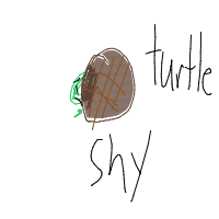shy turtle drawing by leafyirl in Artbitrator