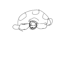 shy turtle drawing by mustvebeendawind in Artbitrator