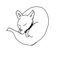 sleeping cat drawing by ojiba91 in Artbitrator
