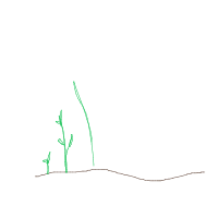 plant growing timelapse drawing by sam_m in Artbitrator