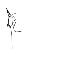 unicorn drawing by aashu_xv in Artbitrator
