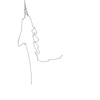 unicorn drawing by aashu_xv in Artbitrator