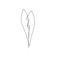 broken heart drawing by aashu_xv in Artbitrator