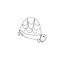 shy turtle drawing by bluewhitelight in Artbitrator