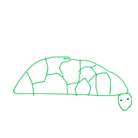 shy turtle drawing by juuhi in Artbitrator