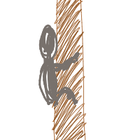 koala hugging tree drawing by dobdobbson in Artbitrator