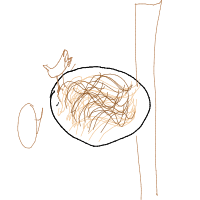 bird building nest drawing by andi00 in Artbitrator