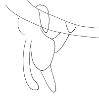 sloth hanging drawing by ellies in Artbitrator