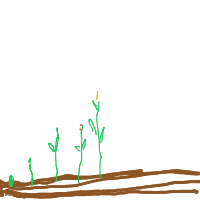 plant growing timelapse drawing by miya in Artbitrator