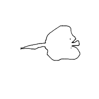 stingray drawing by flameboy123 in Artbitrator