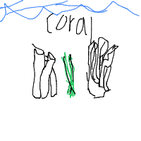 coral reef drawing by flameboy123 in Artbitrator