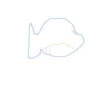 blue whale drawing by flameboy123 in Artbitrator