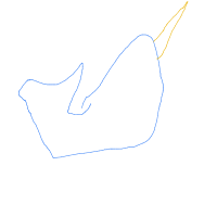 narwhal drawing by flameboy123 in Artbitrator