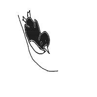 penguin sliding drawing by waymin in Artbitrator