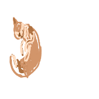 sleeping cat drawing by jeiart in Artbitrator