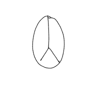 peace drawing by anonymoosse679 in Artbitrator