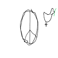 peace drawing by razor_lupical in Artbitrator