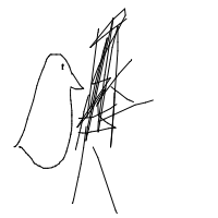 bird building nest drawing by liana in Artbitrator
