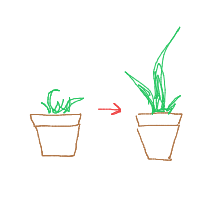 plant growing timelapse drawing by lamb in Artbitrator