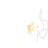 butterflies in stomach drawing by abyt_t in Artbitrator