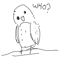 confused owl drawing by ratatping in Artbitrator