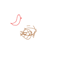 bird building nest drawing by weedle in Artbitrator