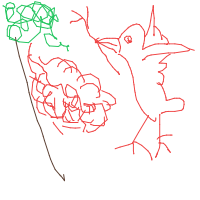 bird building nest drawing by mikili4444 in Artbitrator