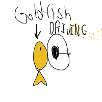 goldfish driving car drawing by omar1 in Artbitrator