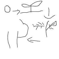 plant growing timelapse drawing by dreamcore in Artbitrator