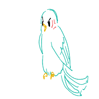 angry bird drawing by ahnnguyen in Artbitrator