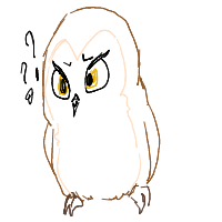 confused owl drawing by ahnnguyen in Artbitrator