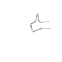 thumbs up drawing by oryx in Artbitrator