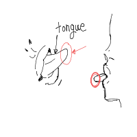 tip of tongue drawing by oryx in Artbitrator