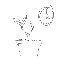 plant growing timelapse drawing by love4ola in Artbitrator