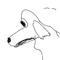 grumpy dog drawing by venkore in Artbitrator